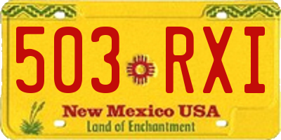 NM license plate 503RXI