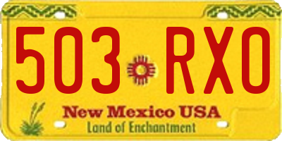 NM license plate 503RXO