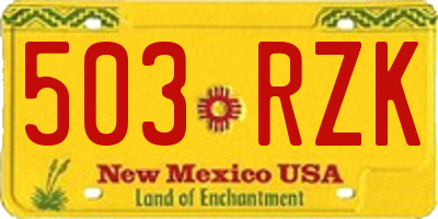 NM license plate 503RZK