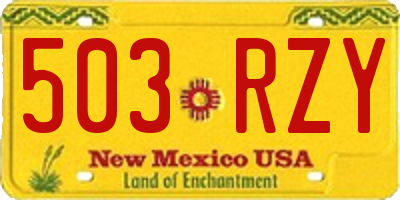NM license plate 503RZY