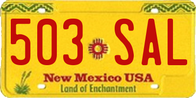 NM license plate 503SAL