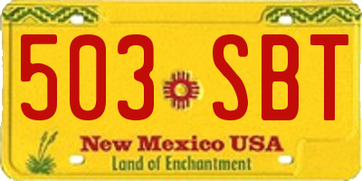 NM license plate 503SBT