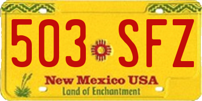 NM license plate 503SFZ