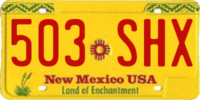 NM license plate 503SHX