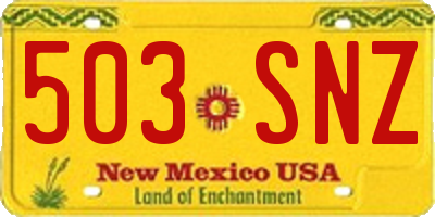 NM license plate 503SNZ