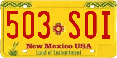 NM license plate 503SOI