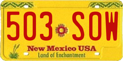 NM license plate 503SOW
