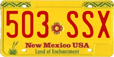 NM license plate 503SSX
