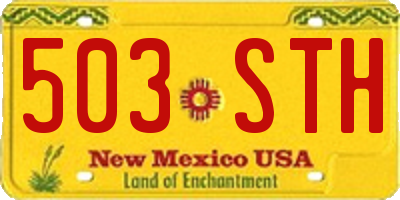 NM license plate 503STH