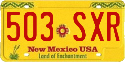 NM license plate 503SXR