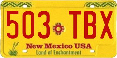 NM license plate 503TBX