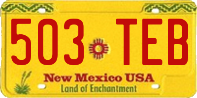 NM license plate 503TEB