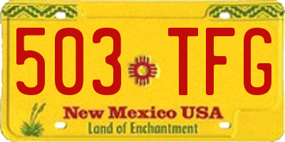 NM license plate 503TFG