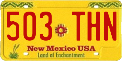 NM license plate 503THN