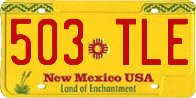 NM license plate 503TLE