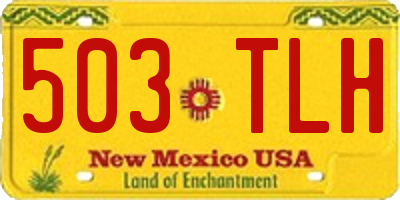 NM license plate 503TLH