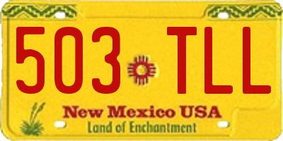 NM license plate 503TLL
