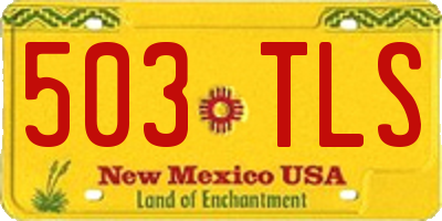 NM license plate 503TLS