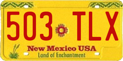 NM license plate 503TLX