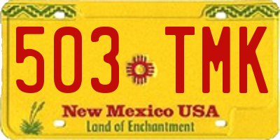 NM license plate 503TMK