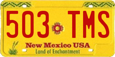 NM license plate 503TMS