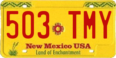 NM license plate 503TMY