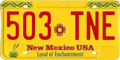NM license plate 503TNE