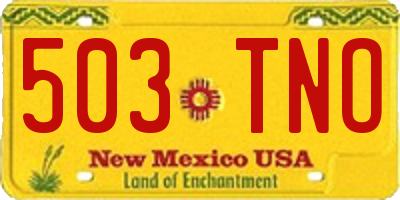 NM license plate 503TNO