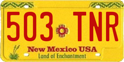 NM license plate 503TNR