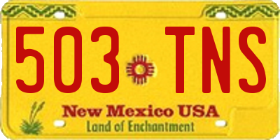 NM license plate 503TNS