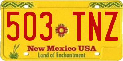NM license plate 503TNZ
