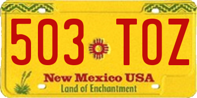 NM license plate 503TOZ