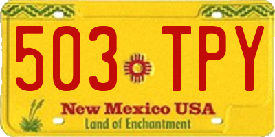 NM license plate 503TPY