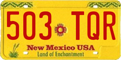 NM license plate 503TQR