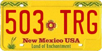 NM license plate 503TRG