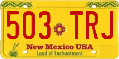 NM license plate 503TRJ