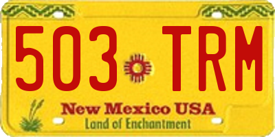 NM license plate 503TRM