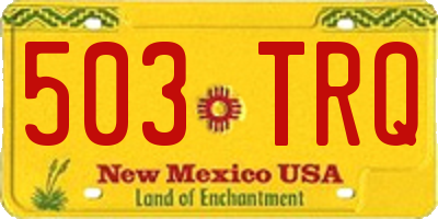 NM license plate 503TRQ