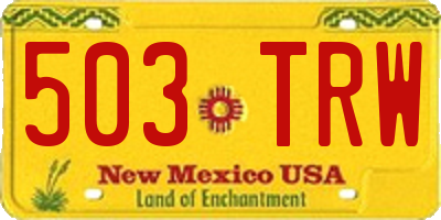 NM license plate 503TRW