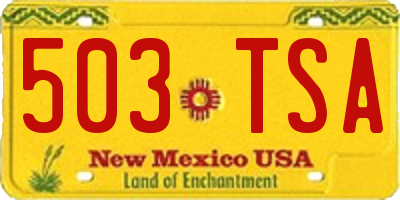NM license plate 503TSA