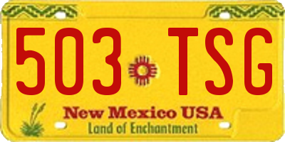 NM license plate 503TSG