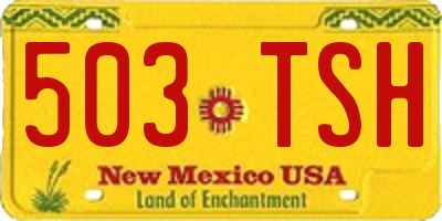 NM license plate 503TSH