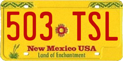 NM license plate 503TSL