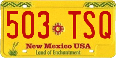 NM license plate 503TSQ