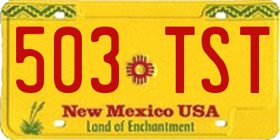 NM license plate 503TST