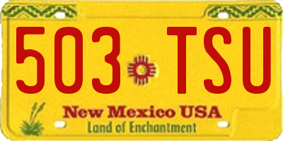 NM license plate 503TSU
