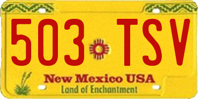 NM license plate 503TSV