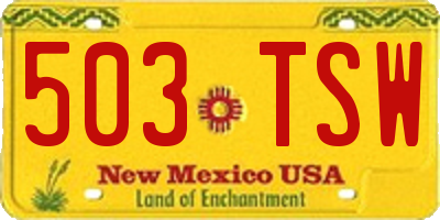 NM license plate 503TSW