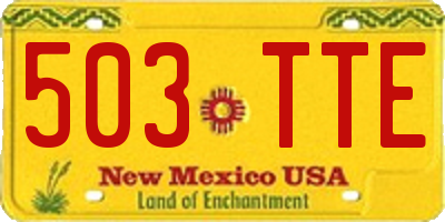 NM license plate 503TTE