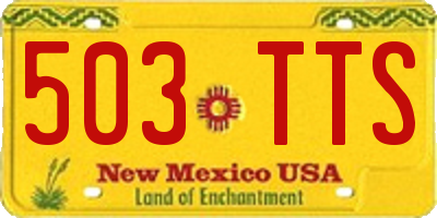 NM license plate 503TTS